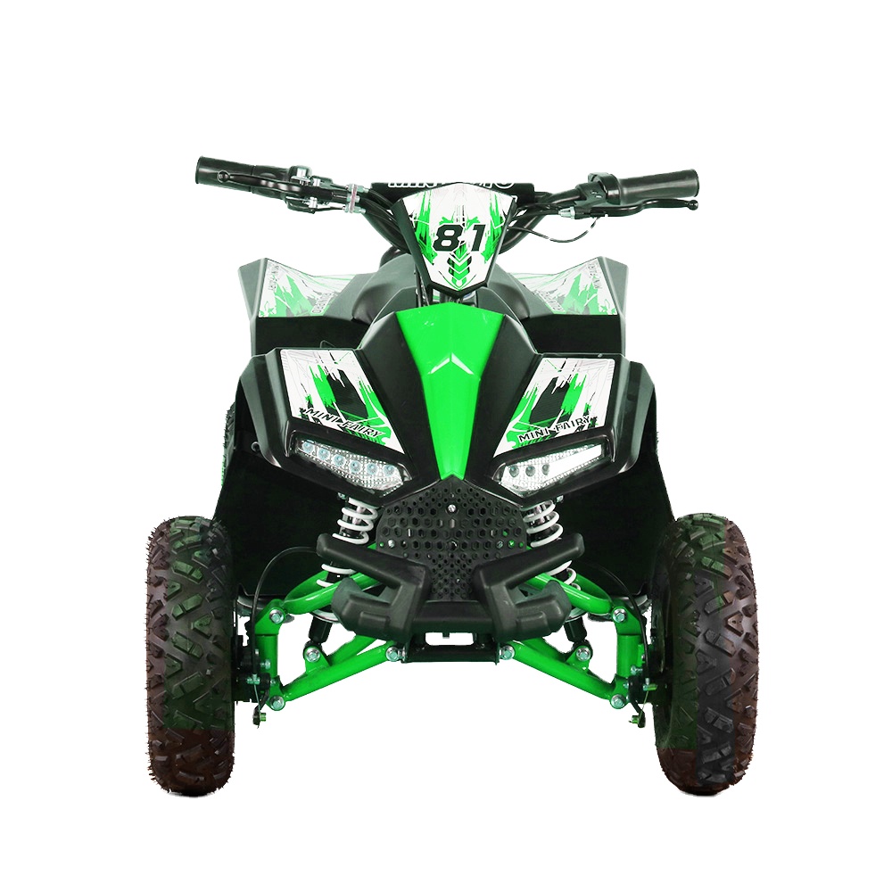 Kids Outdoor Electric Quad - Quad Elettrico per Bambini 1000W 48V,