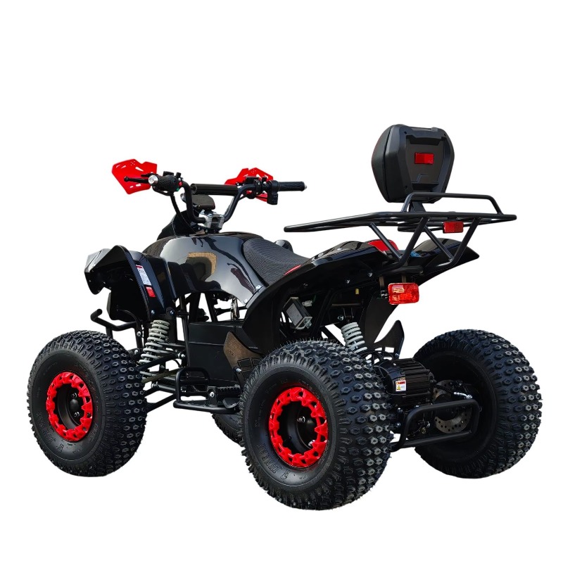Quad ATV Elettrico con Trasmis - Kids Outdoor Electric Quad recensione e prezzo