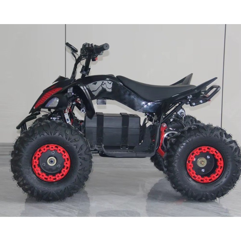 ATV Elettrico per Bambini 48V  - Kids Outdoor Electric Quad recensione e prezzo