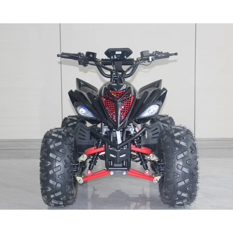 ATV Elettrico per Bambini 48V  - Kids Outdoor Electric Quad recensione e prezzo